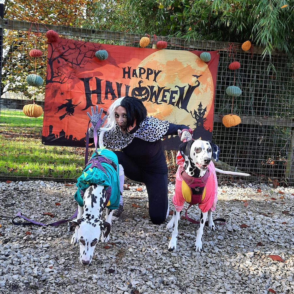 Halloween pawty at our Socialisation Sessions